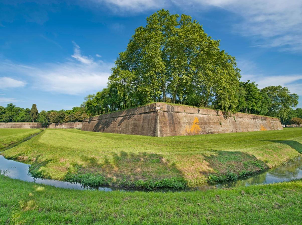 Affittacamere Dimora Altemura Lucca